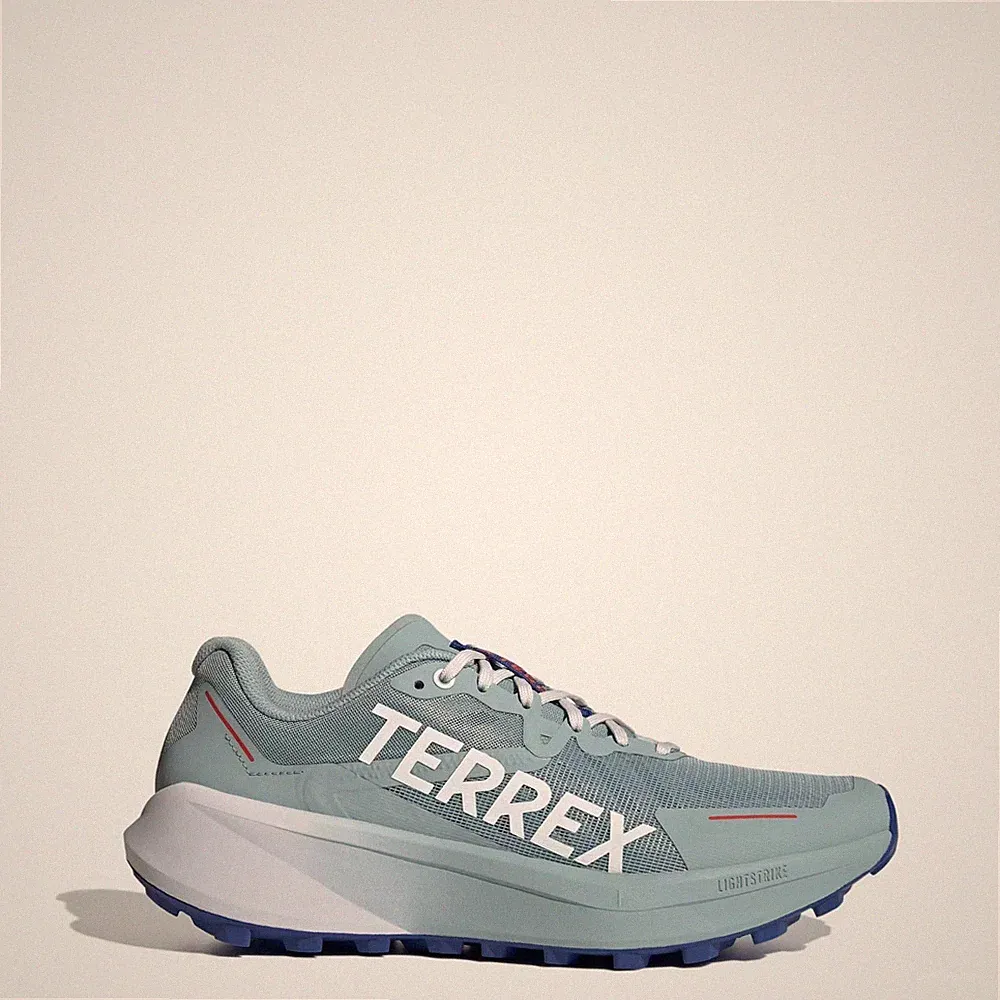 Adidas Terrex Agravic 3 Trailrunningschuhe Größe 10,5 grau UVP 120 £ JP7255