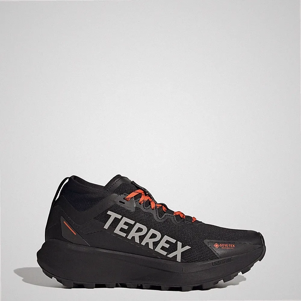Adidas Terrex Agravic GTX Trail Laufschuhe Herren Wandern Wasserdicht GORE-TEX