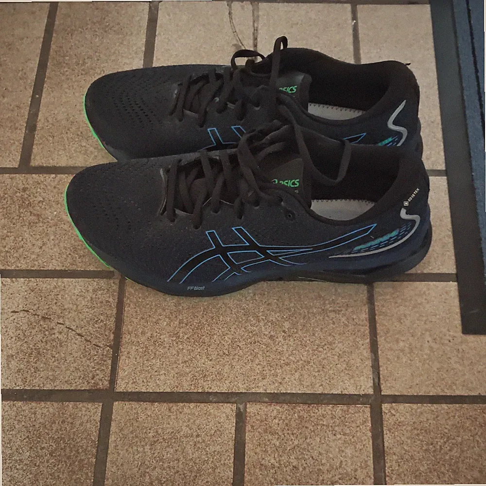 Asics Gel-Cumulus 24 GTX Herren Laufschuhe Größe 49