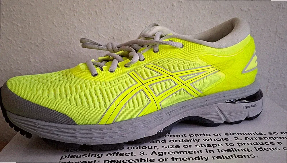 ASICS GEL KAYANO 25 Gr. 6,5 (39,5) TOP RUNNING SCHUH - NEU und OVP
