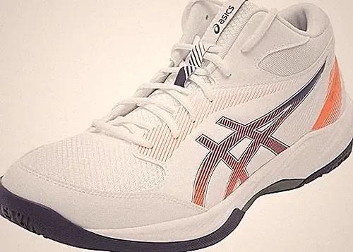43.5 Hallenschuh