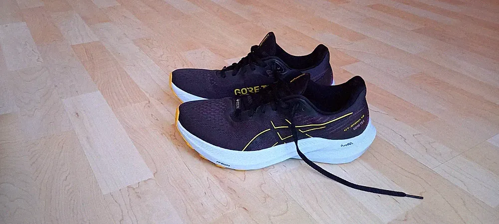 Asics Gore-Tex Damen-Herren Laufschuhe Sport Schuhe GT-2000 12 Gr. 40,5 Neuwert.