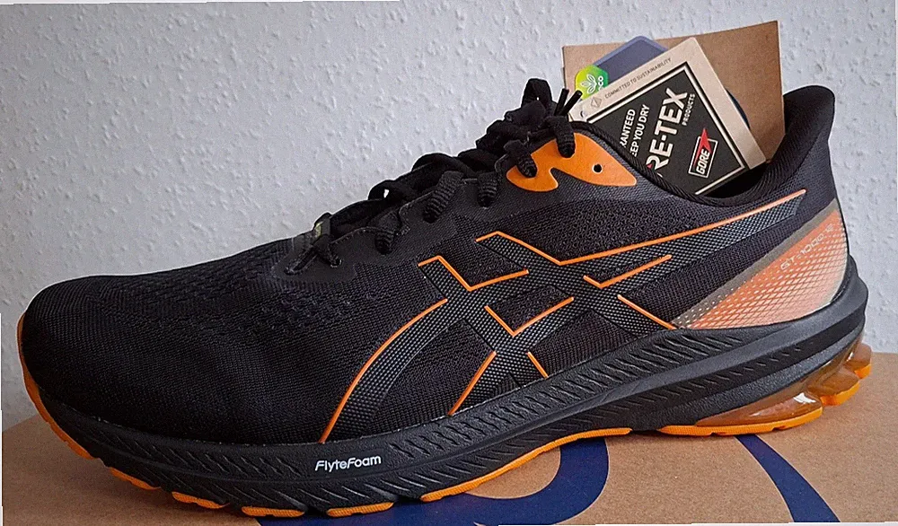 ASICS GT 1000-12 GTX Gr. 11 (45) RUNNING SCHUH + WASSERDICHT - NEU und OVP