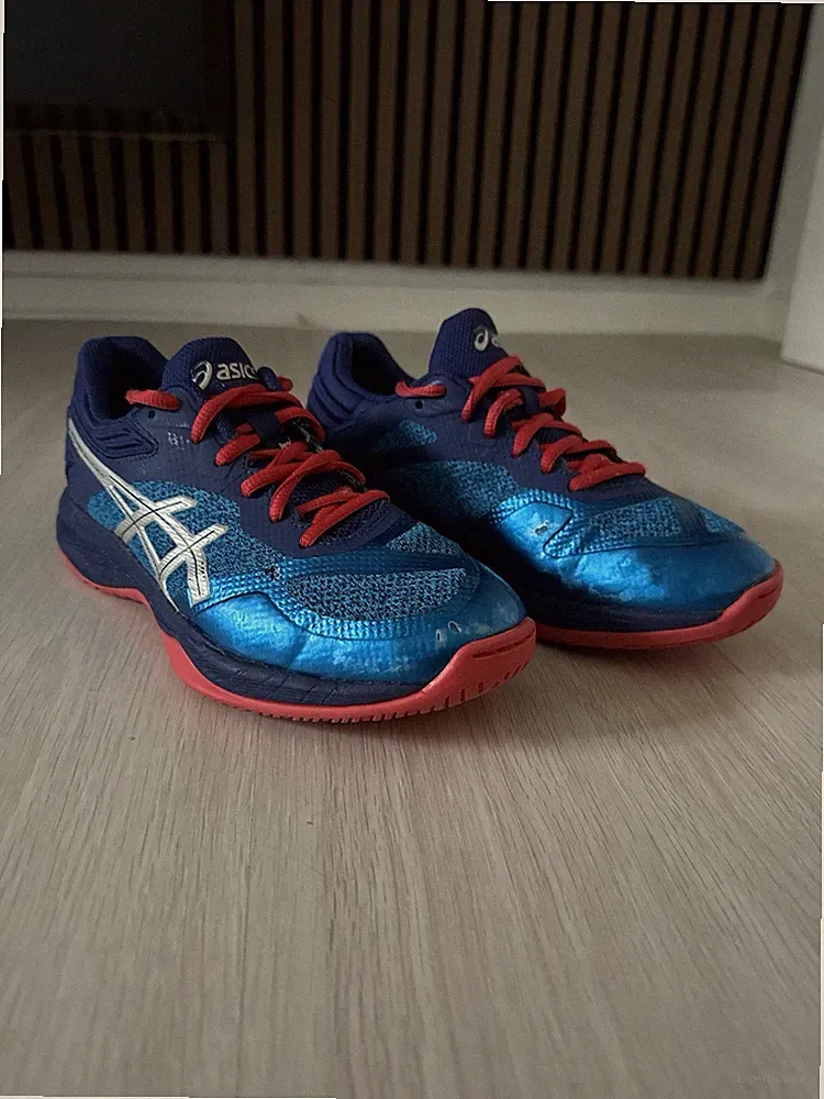 39.5 Hallenschuh