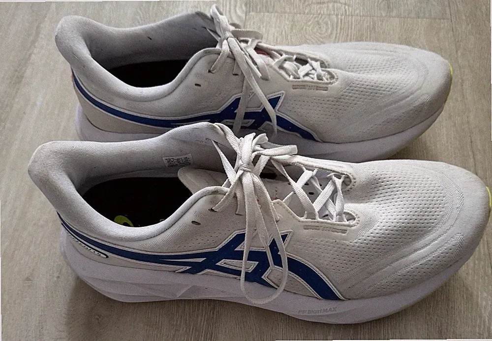 Asics Novablast 5 ATC, Gr. 47, nur ca. 50 KM gelaufen, Laufschuhe, Joggen