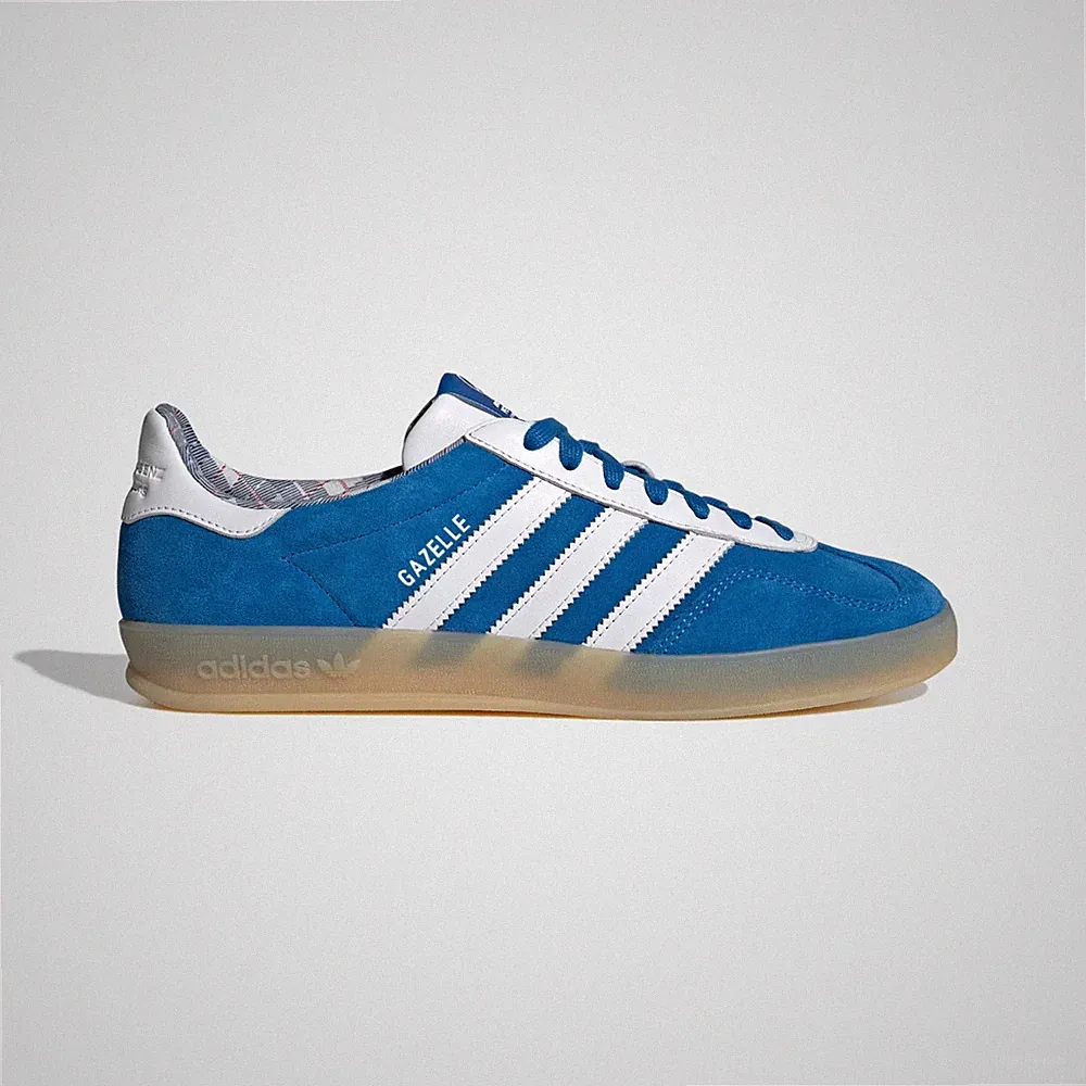 Gazelle Indoor Mercedes AMG Petronas F1 Team Schuhe in Blau