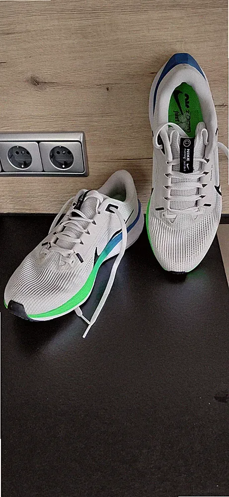 Laufschuhe Herren Gr.42,5 Nike Pegasus 40