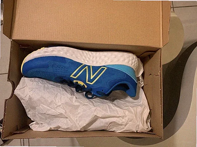 Laufschuhe New Balance Fresh Foam EVOZ