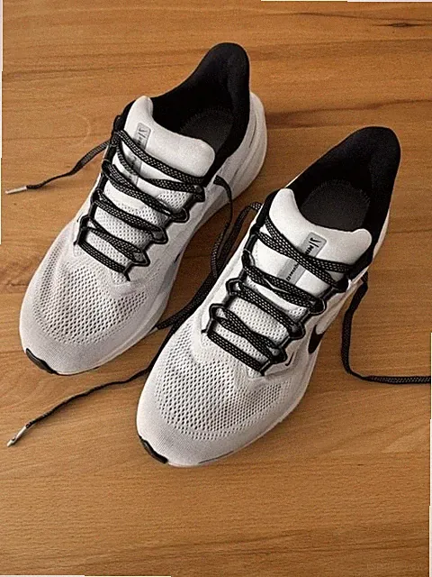 Laufschuhe NIKE Pegasus 41 Herren, EUR 41 / US 8 / UK 7 / CM26