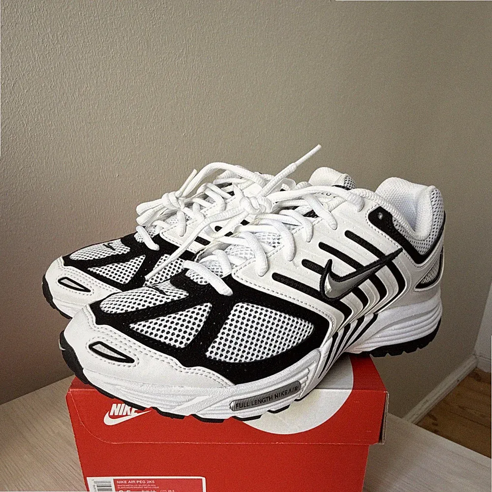 Nike Air Peg 2K5 Air Pegasus Herren Laufschuhe Weiß/Schwarz/Silber EU 42