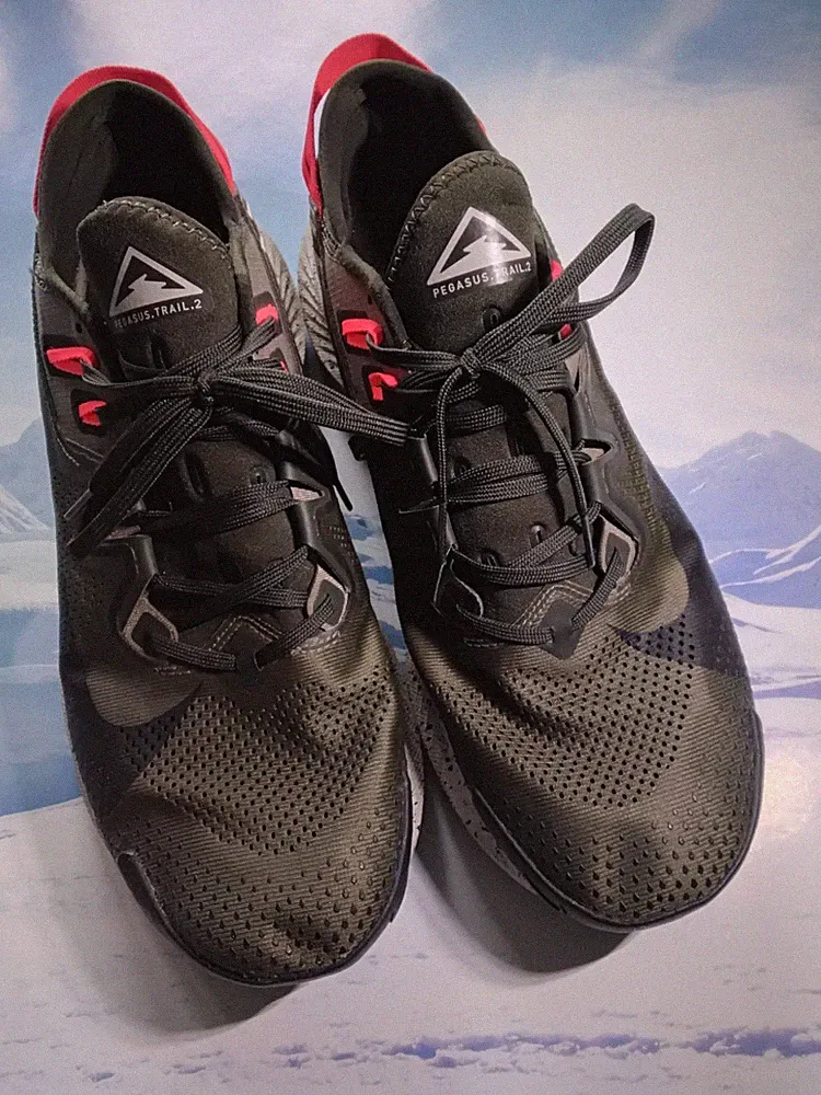 NIKE AIR PEGASUS TRAIL 2 GTX SNEAKER GR 45 46 SCHUHE