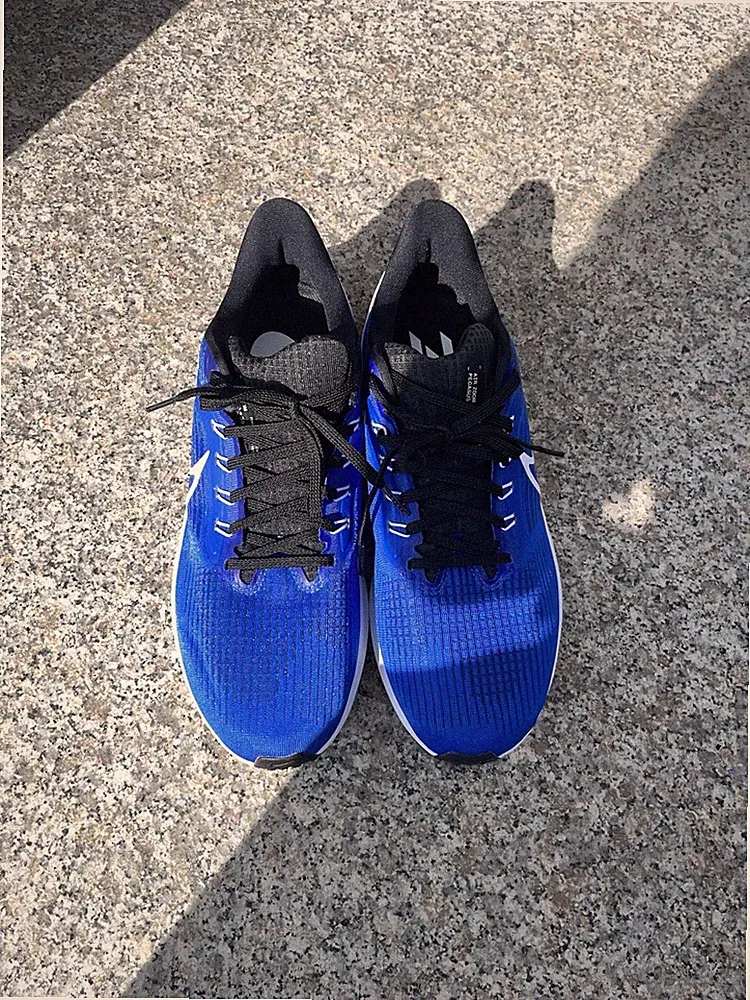 Nike Air Zoom Pegasus 39 - EU 45