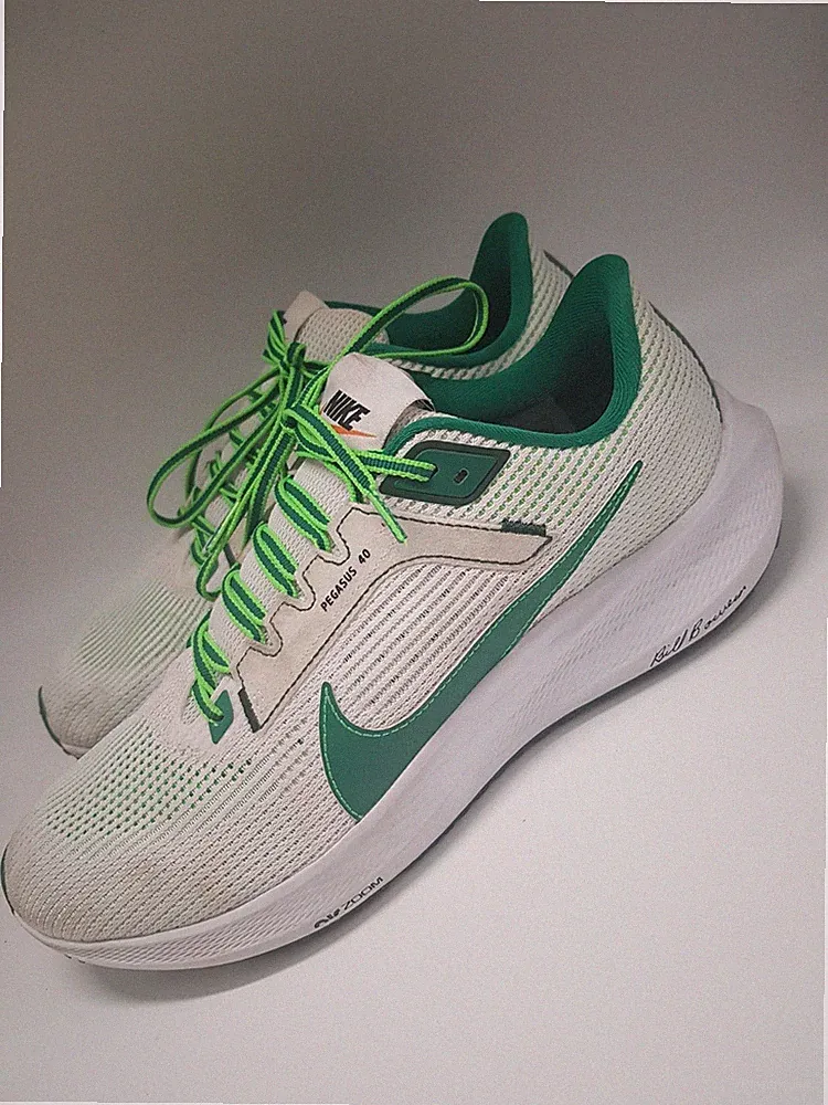Nike Air Zoom Pegasus 40 Herren Laufschuhe Grösse 43 FJ0329 100