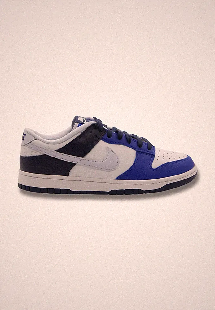 Nike Dunk Low Herrenschuhe Sportschuhe Lauf Freizeit Sneaker Low Weiß FQ8826 100