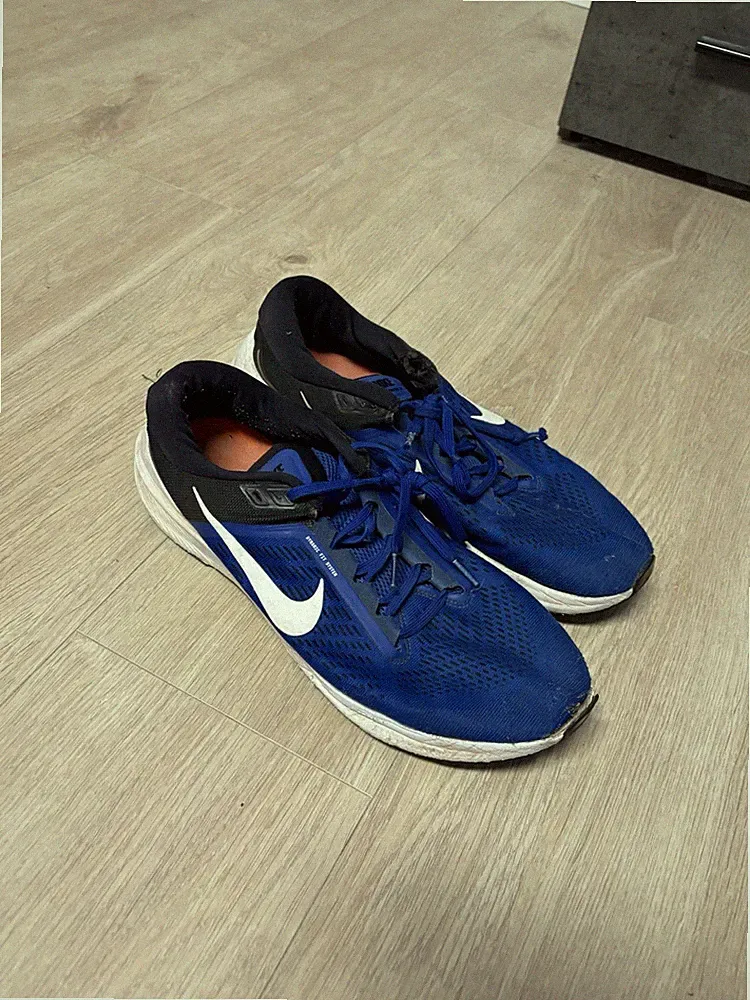 Nike Laufschuhe