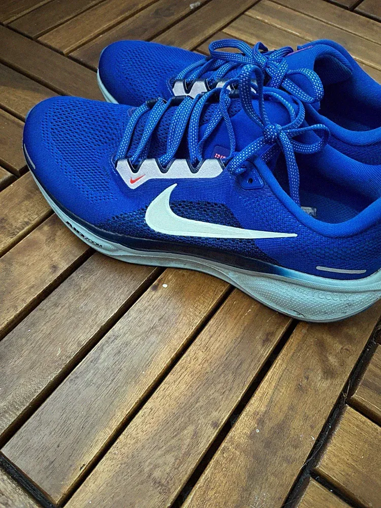 Nike Pegasus 41 Laufschuhe Blau - Neu Unbenutzt Gr. 42 Sportschuhe Unisex