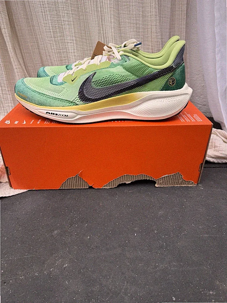 Nike Pegasus 41 SE Running Gr 47,5 US 13 Laufschuhe H3583 999