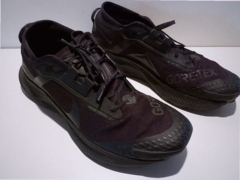 Nike Pegasus Trail 3 Gore-Tex Trail Runningschuhe Laufschuhe 47,5 EU