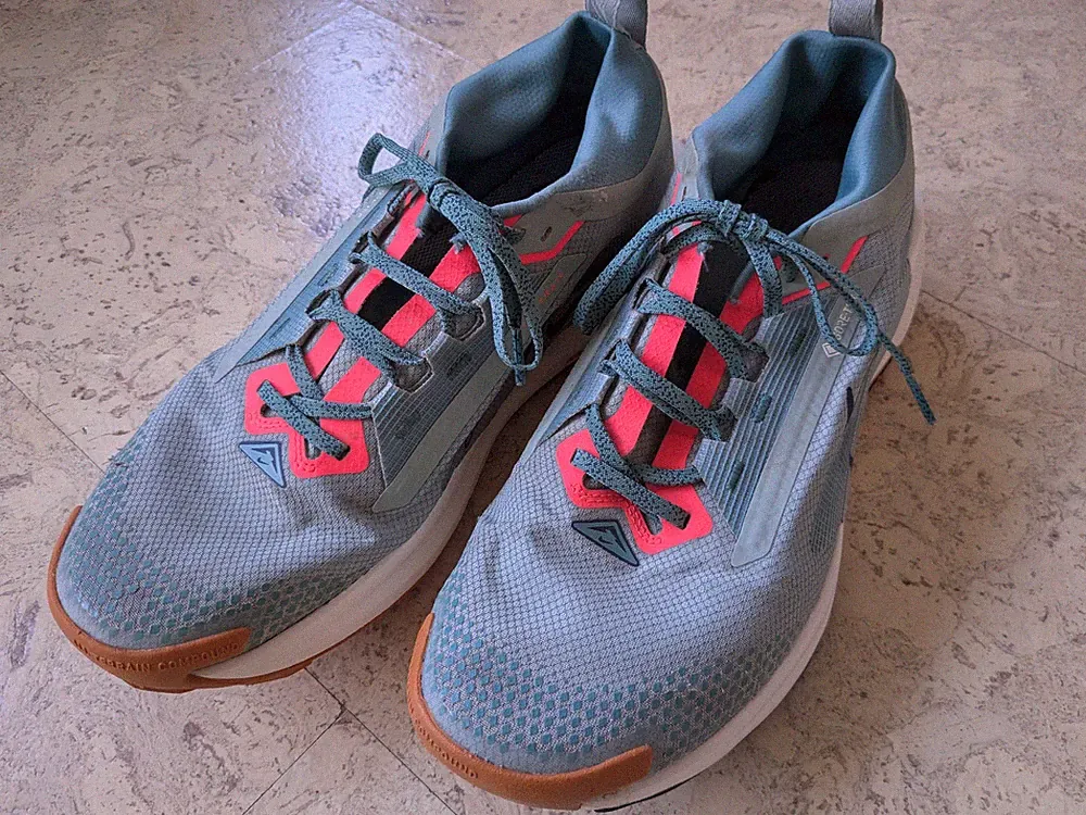 Nike Pegasus Trail 5 GORE-TEX Wasserdichter Traillaufschuh Laufschuh Running 45