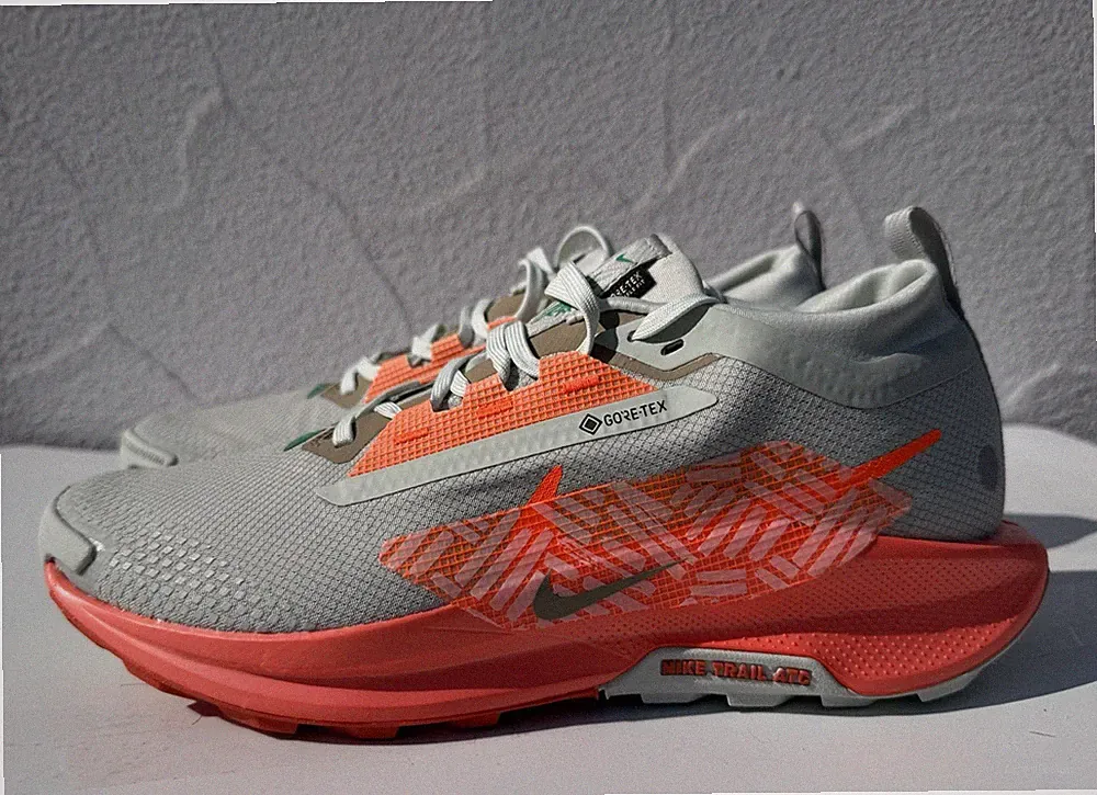 Nike Pegasus Trail 5 GTX Gore-Tex FQ0908-004 Trailrunning Sneaker Laufschuhe