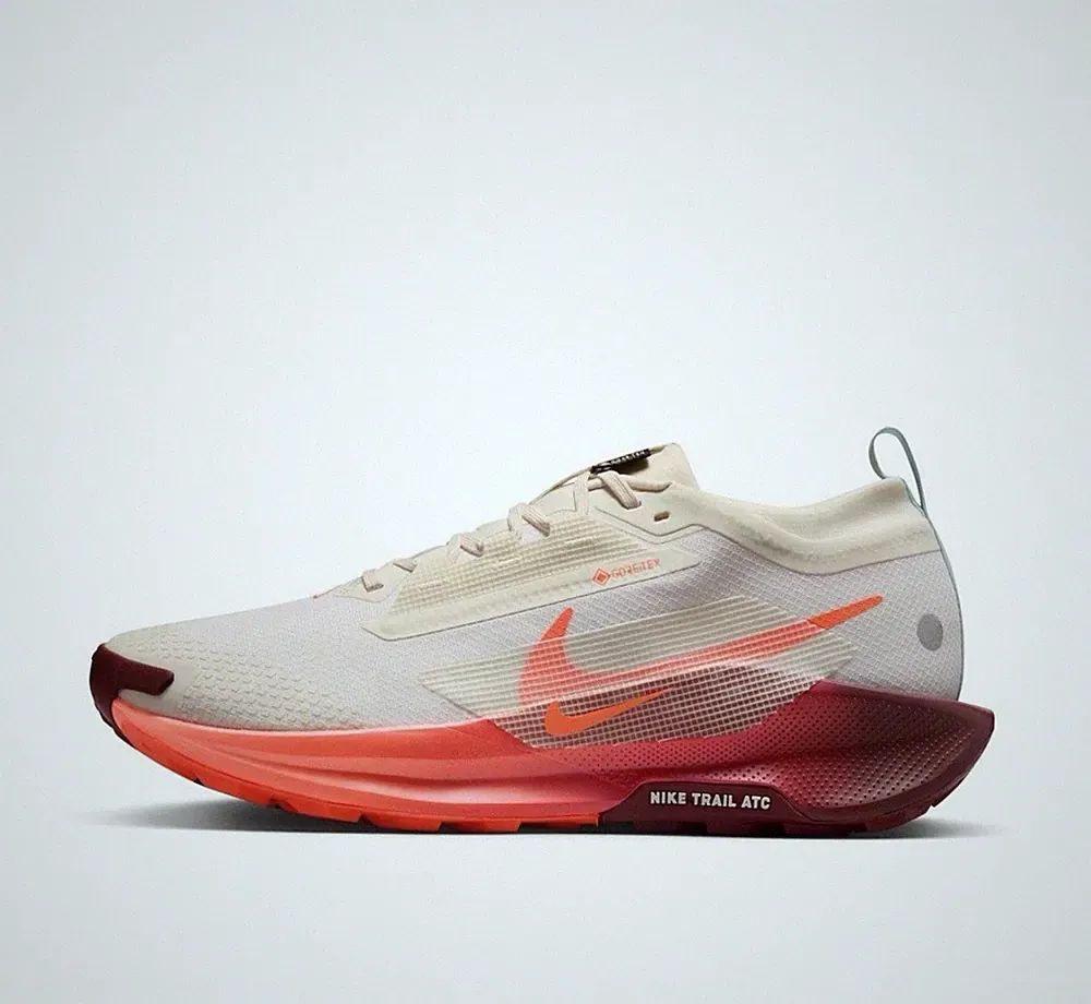Nike Pegasus Trail 5 GTX Gore-Tex FQ0908-104 Trailrunning Sneaker Laufschuhe