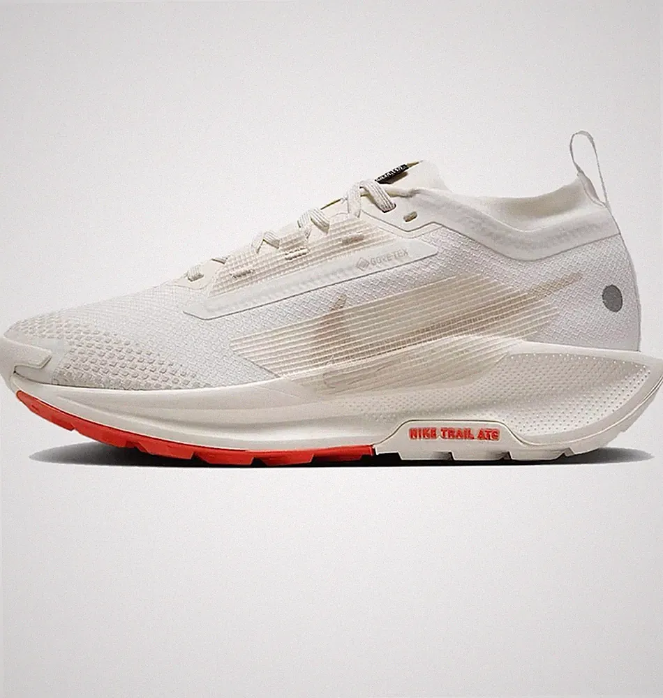 Nike Pegasus Trail 5 GTX Trailrunningschuhe FQ0912-100 Sail Orewood Brown EU 40