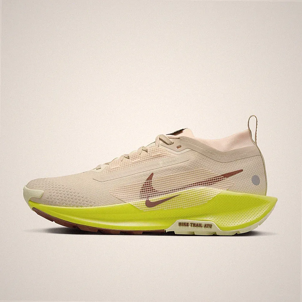 Nike Pegasus Trail 5 GTX Trailrunningschuhe FQ0912-101 Sanddrift Dark Pony EU40