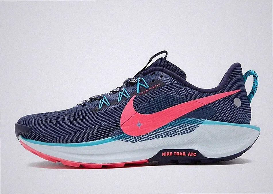 Nike Pegasus Trail 5 Herren Trail-Laufschuhe in Blau