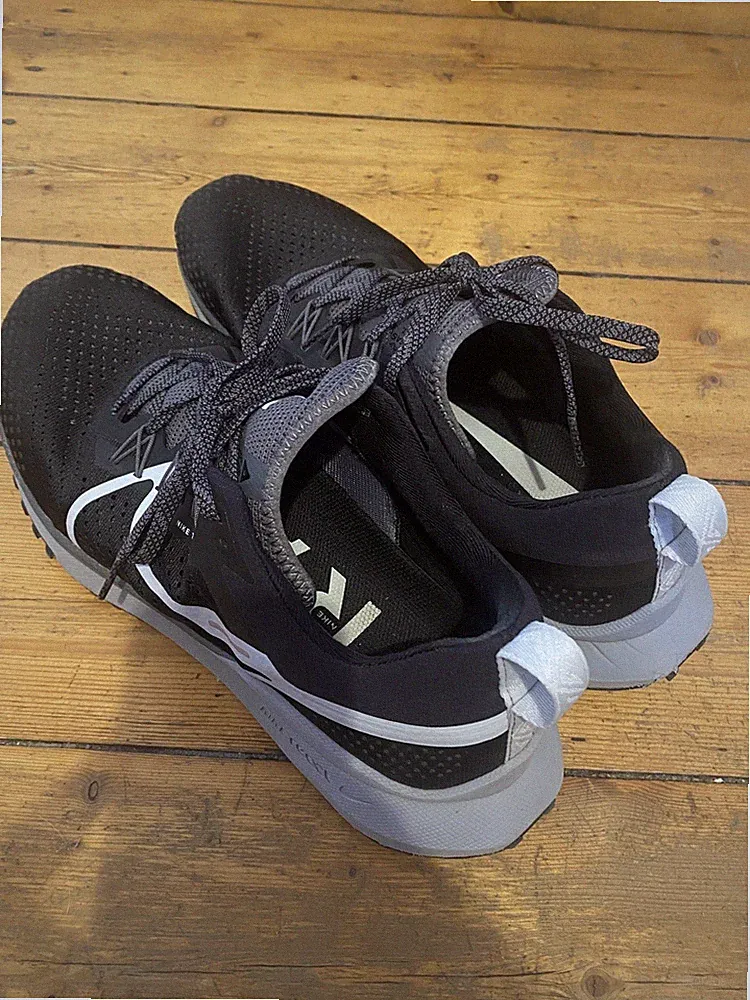 Nike React Pegasus Trail 4 GTX - Black/Wolf Grey-Reflect Silver - EUR 47