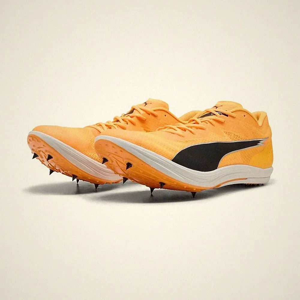 Puma Laufschuhe evoSPEED Long Distance 312857