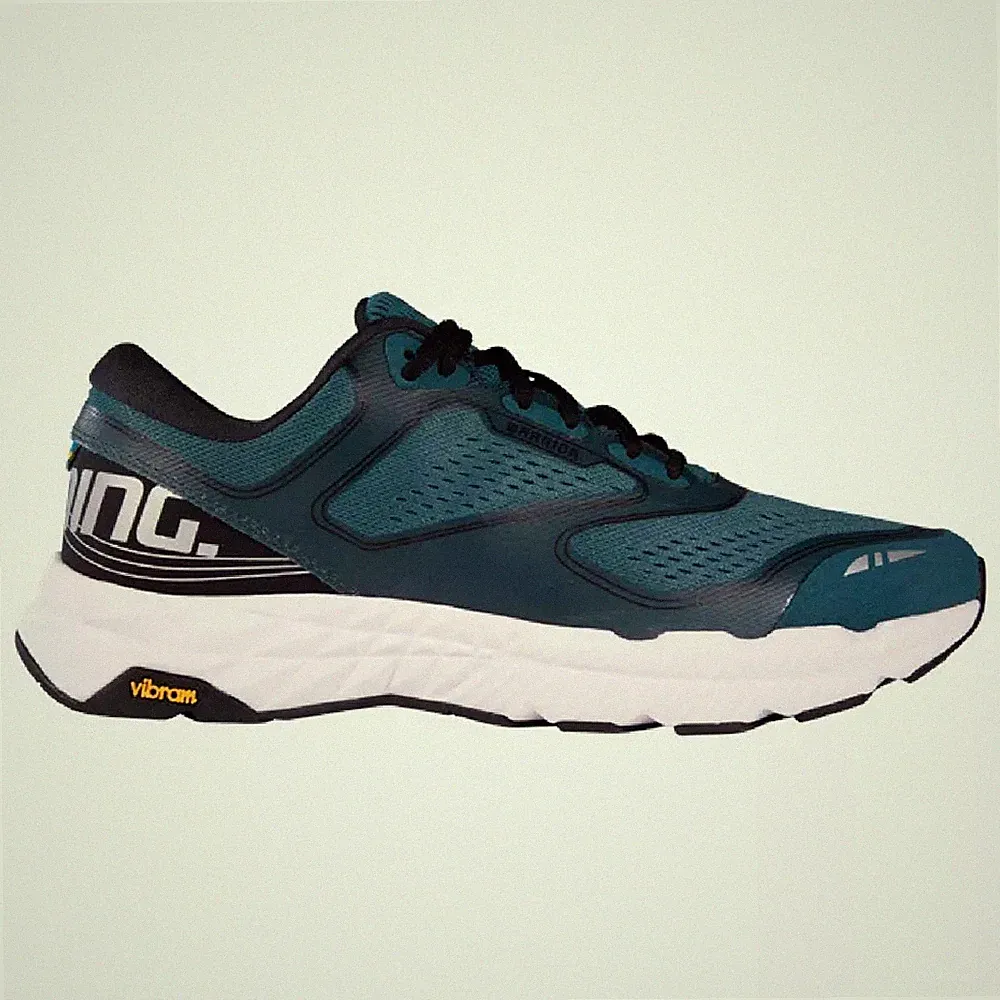 SALMING SCHUHE RECOIL WORRIOR 43-46 NEU 150€ greyhound enroute speed lyte prime
