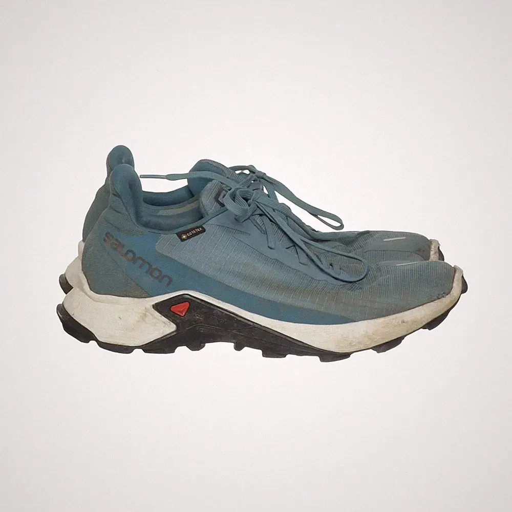 Salomon, Laufschuhe, Größe: 42, Gore-Tex, Blau, Herren #7cG