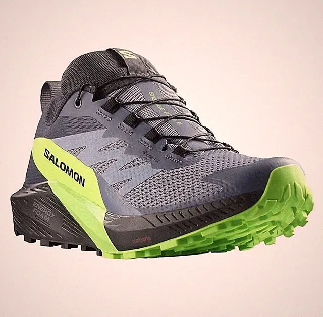 SALOMON Mens Blue Sense Ride 5 GTX Running Shoes (Size 11.5) BRAND NEW
