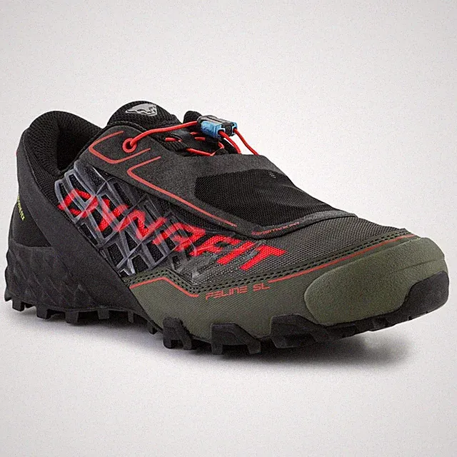 Schuhe Dynafit zum Ausführen von Feline Sl Gtx Winter 640560762