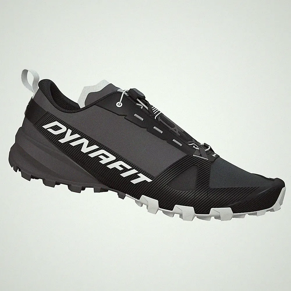 Trailrunningschuhe DYNAFIT TRAVERSE GTX magnet / black
